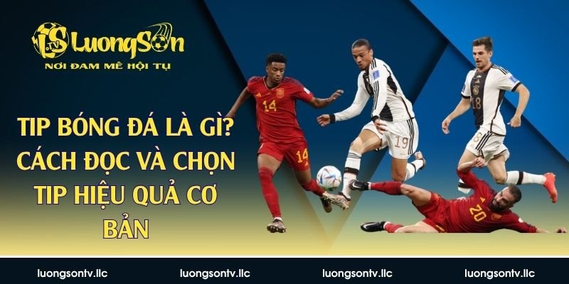 Tip Bóng Đá Là Gì? Cách Đọc Và Chọn Tip Hiệu Quả Cơ Bản